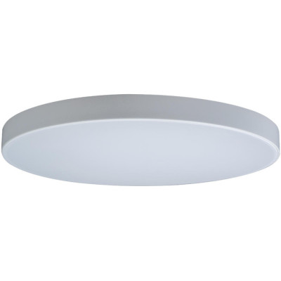 Потолочный светильник Axel 10002/48 White