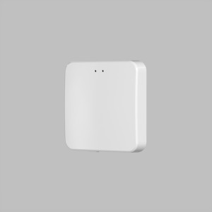 Wi-Fi конвертер CONTROL BT DK7401-WF